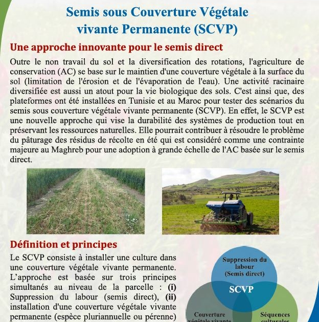 Fiche action GDAEBN [Tunisie] - Fert