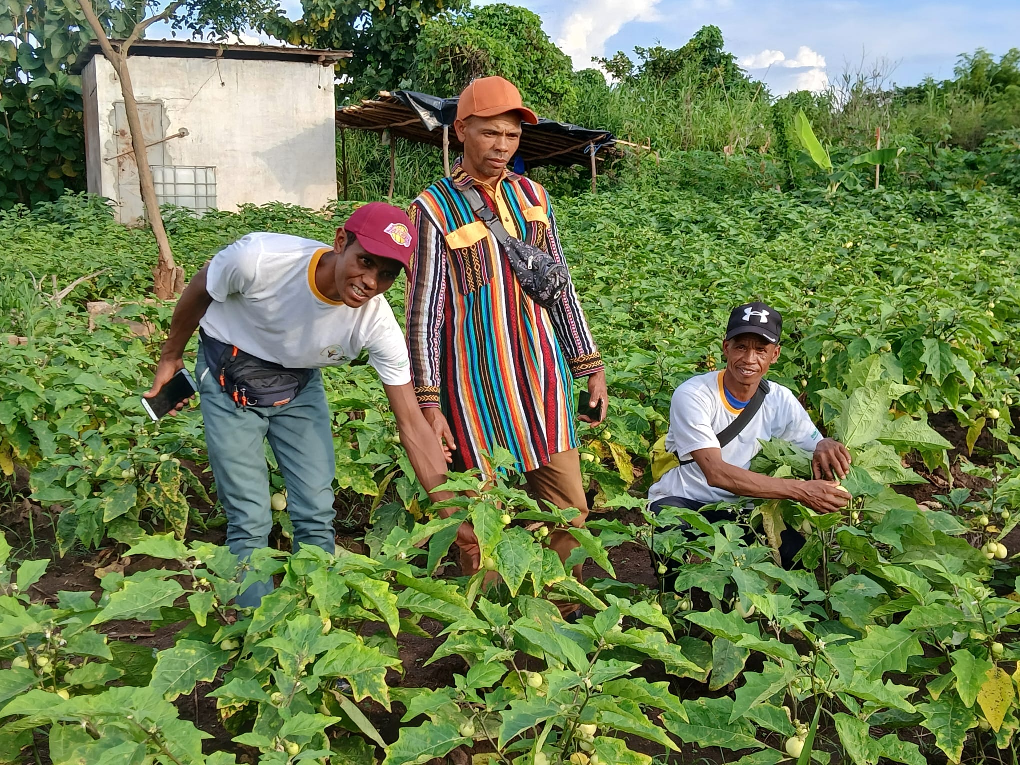 Accompagner Les Agriculteurs Dans La Transition Agro cologique